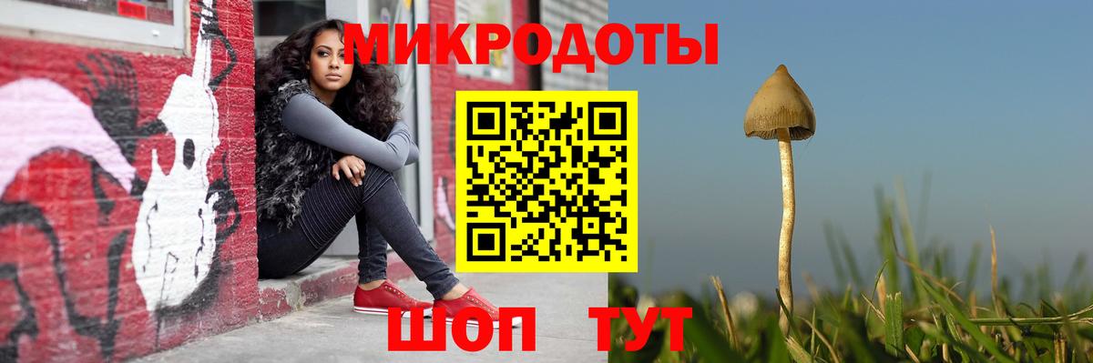 Галлюциногенные грибы GOLDEN TEACHER  Галлюциногенные грибы Psilocybine cubensis  Кохма  магазин продажи наркотиков  Вход с VPN 